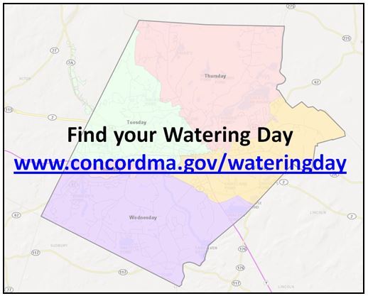 Watering Day