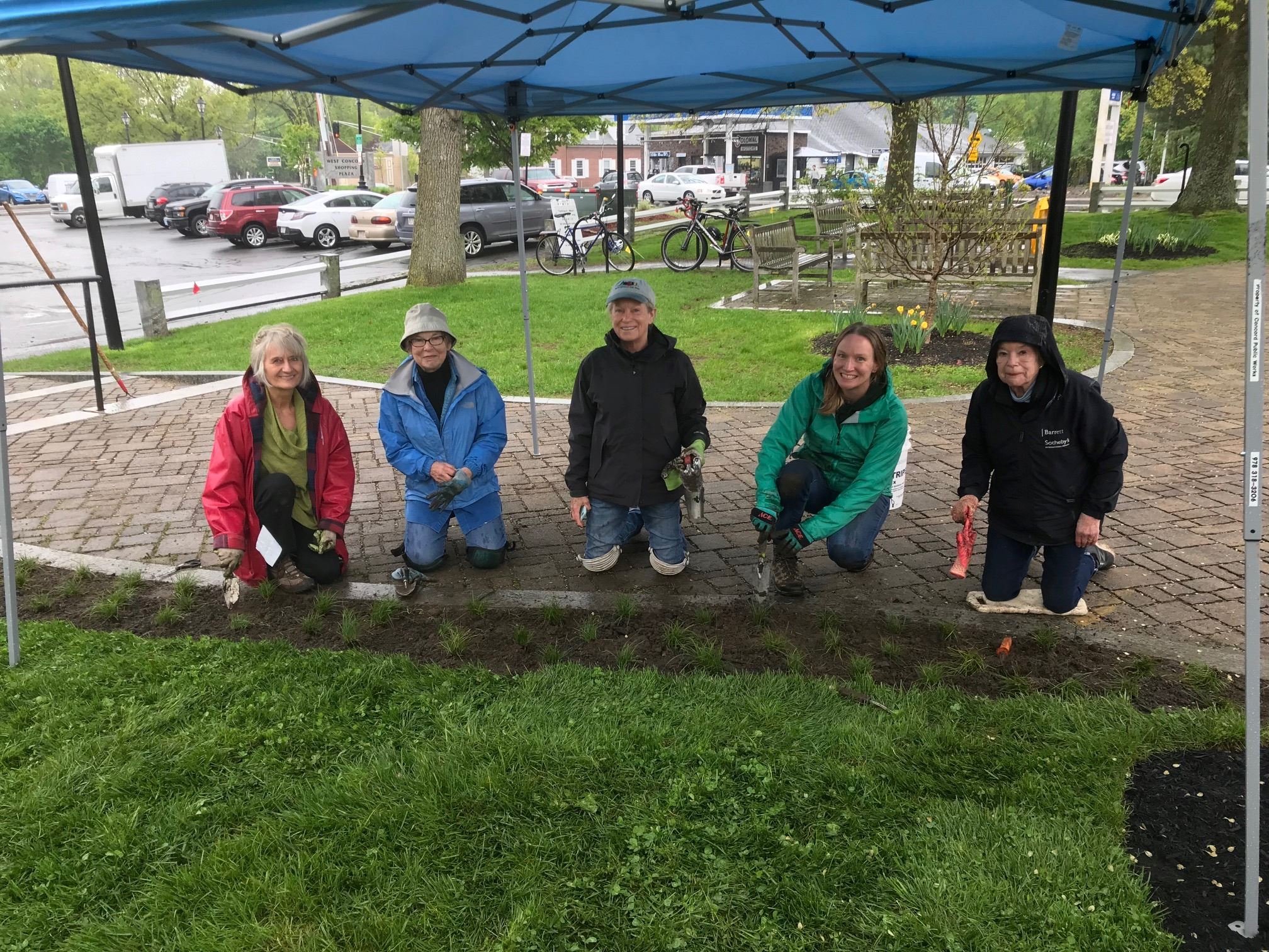 2019-05-17 Junction Sedge Installation Green Thumbs