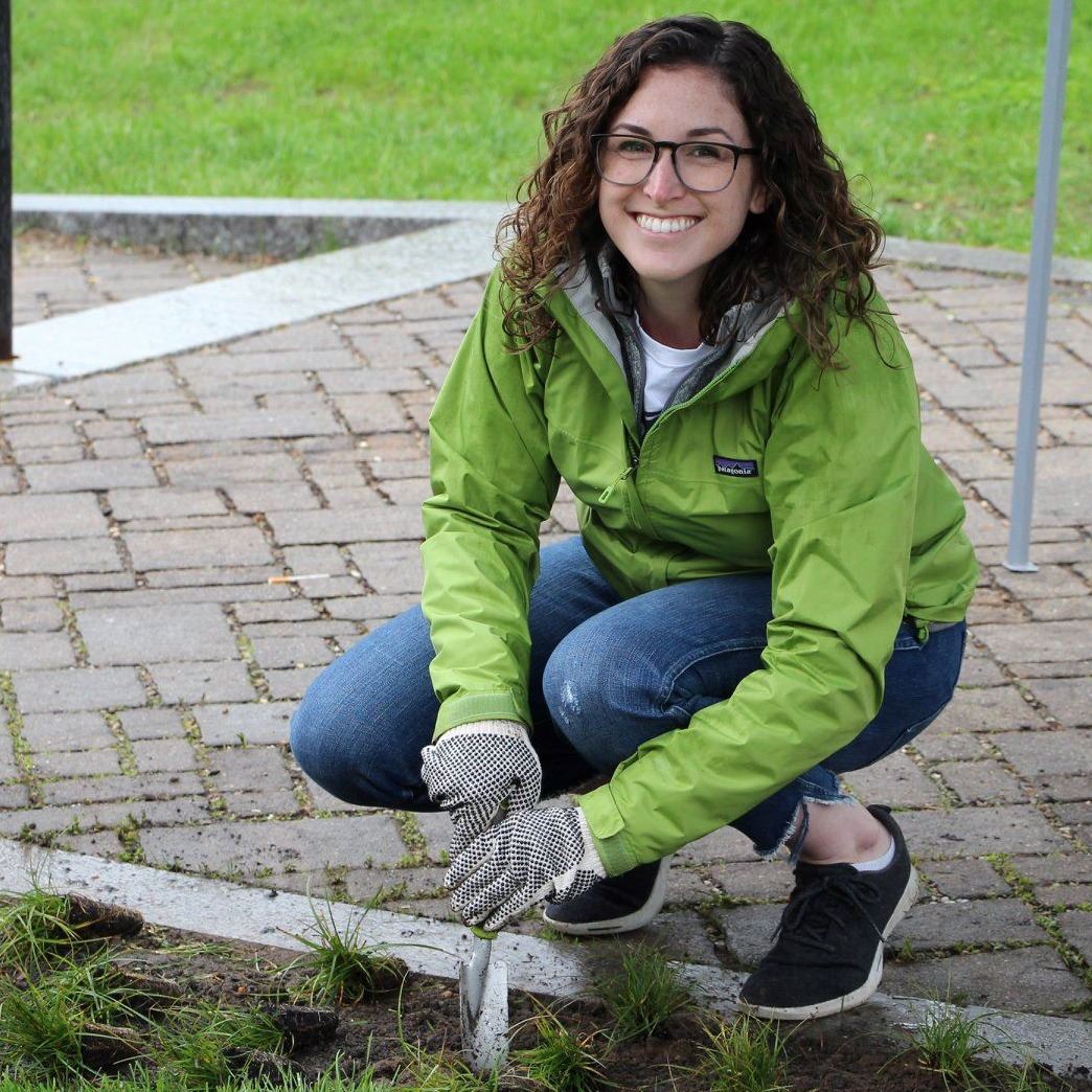 2019-05-17 Junction Sedge Installation Kate