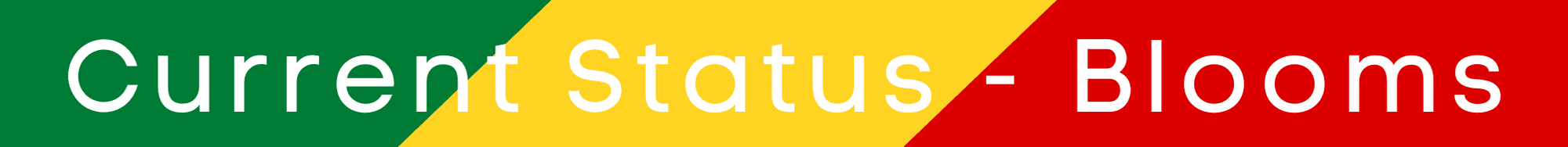 Current Status - Blooms