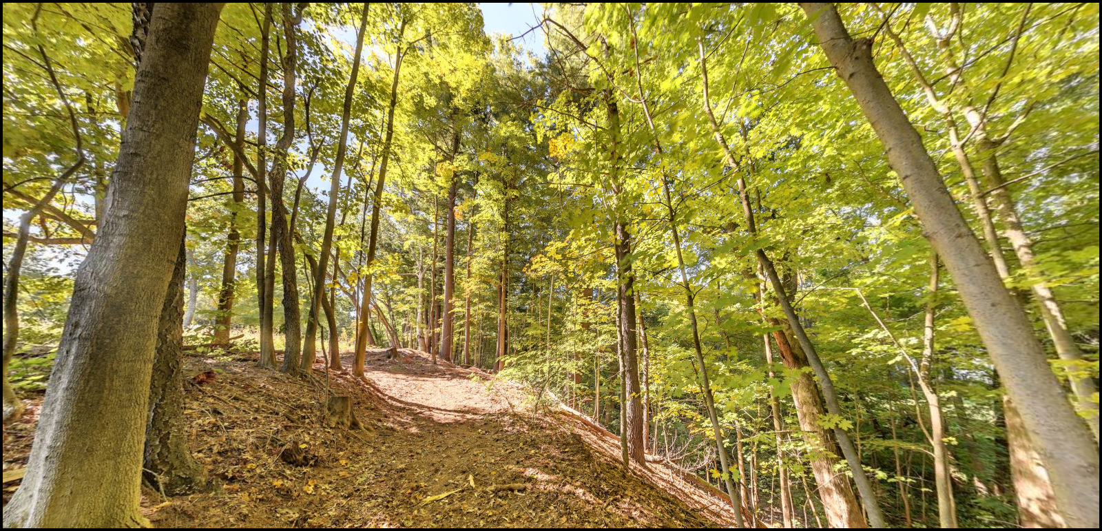 Second Divsion Brook Trail.png