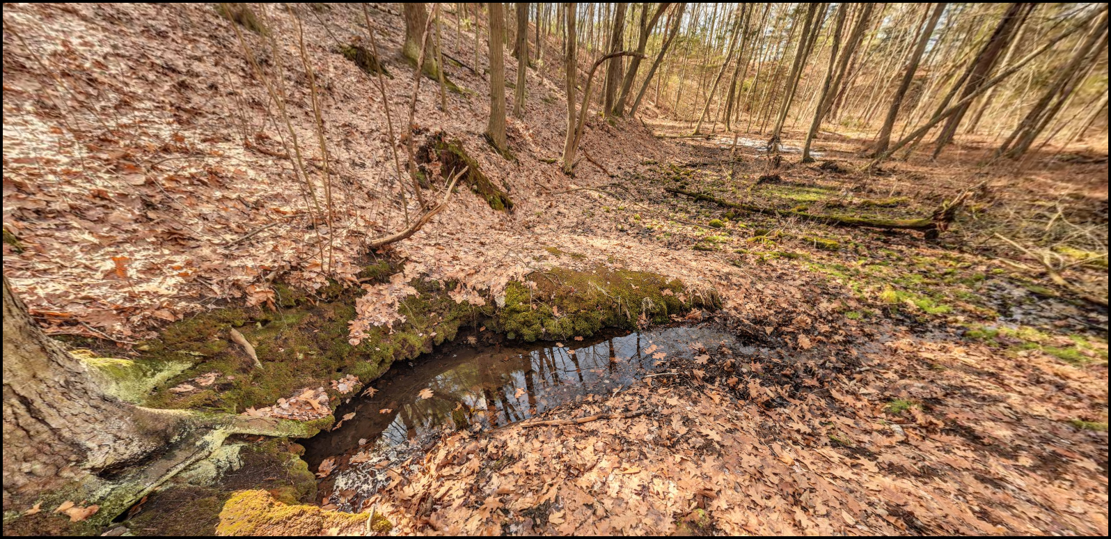 Brister's Spring.png