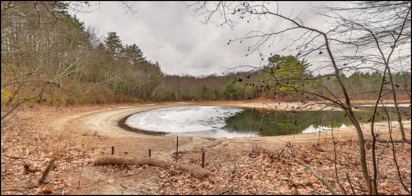 White Pond - Sachem's Cove.png