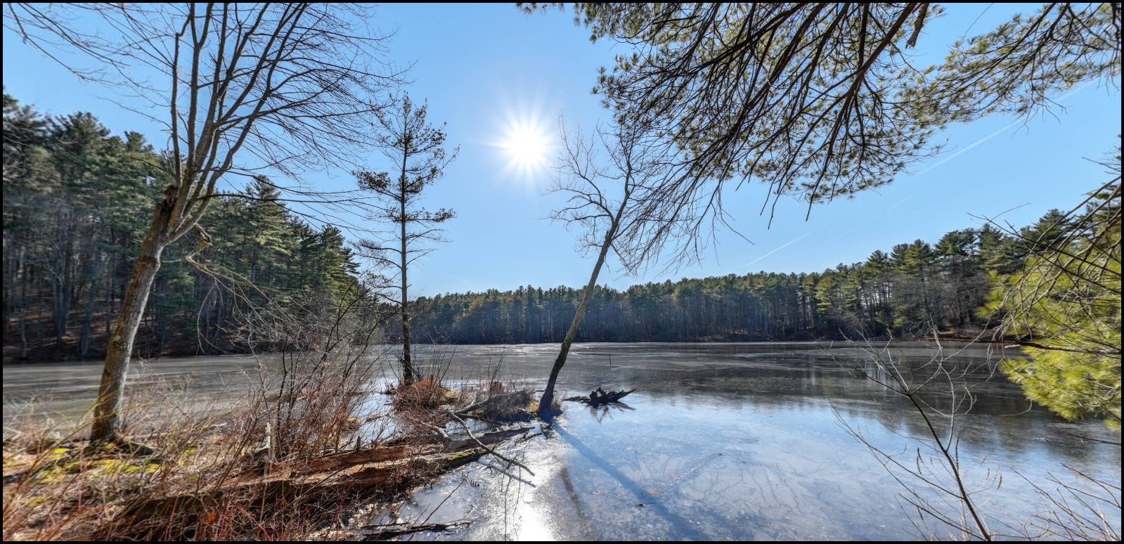 Kennedy's Pond at Old Rifle Range.png