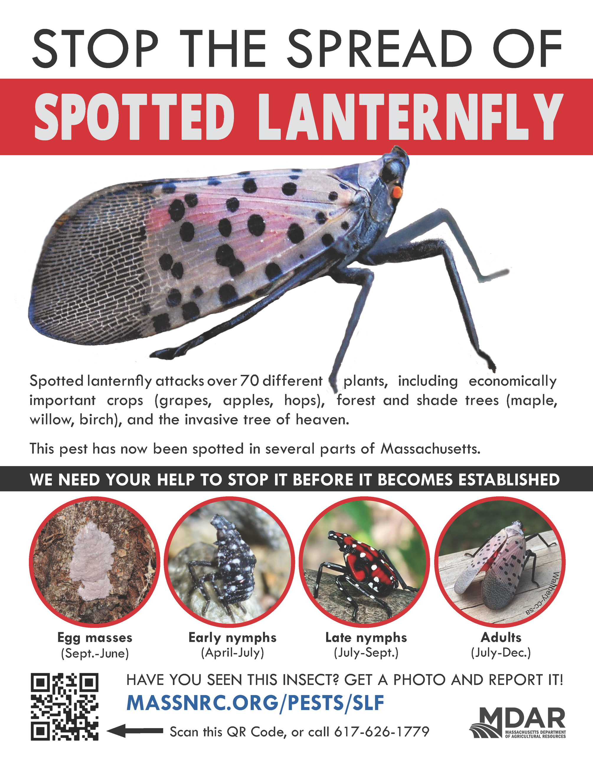 spotted lanternfly poster
