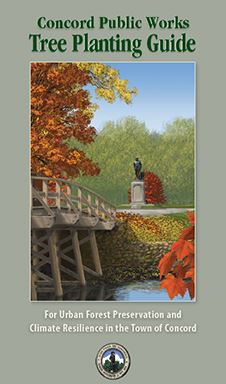 CPW Tree Guide Image New Small