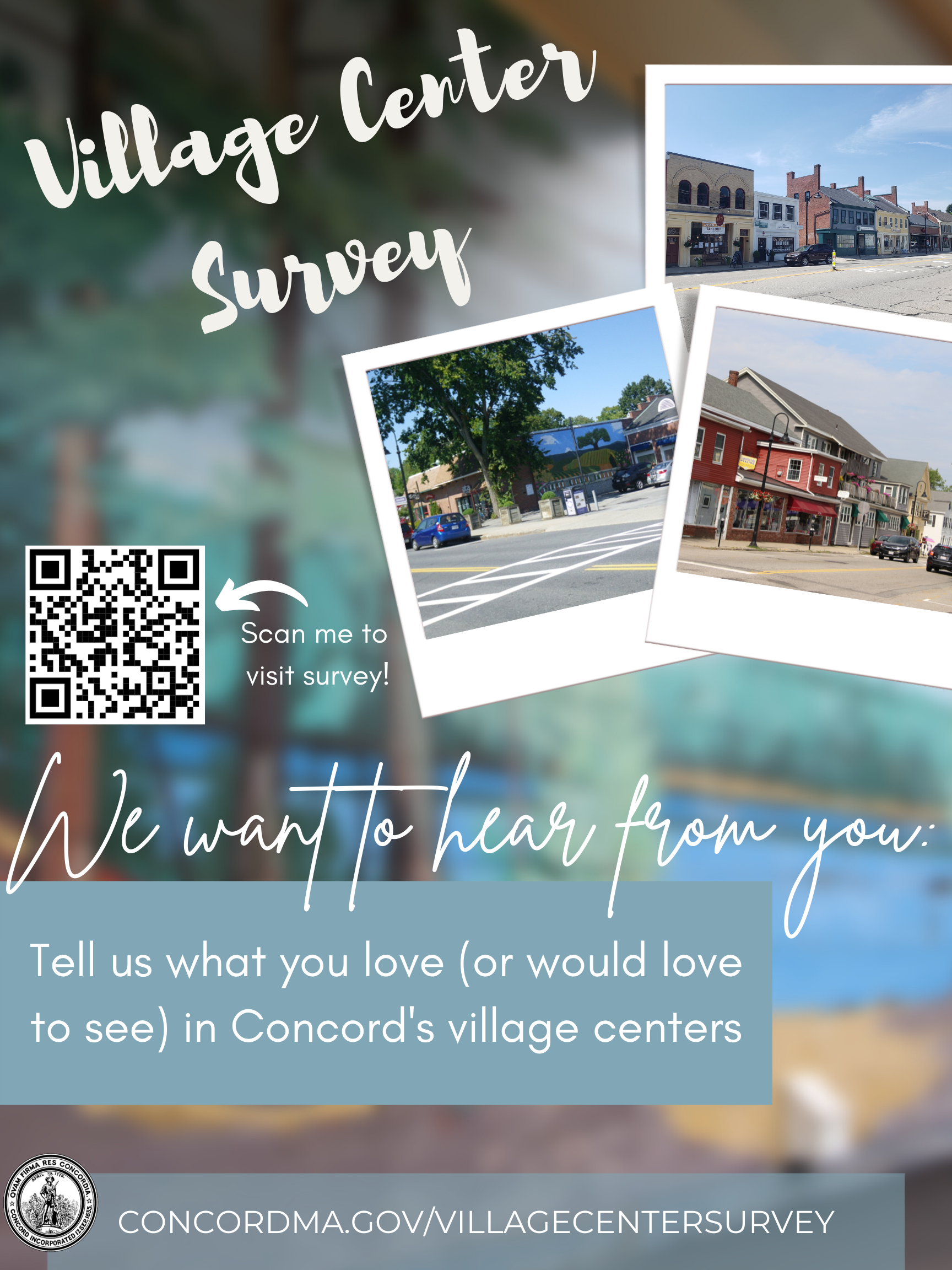 Village Center Survey (customer)