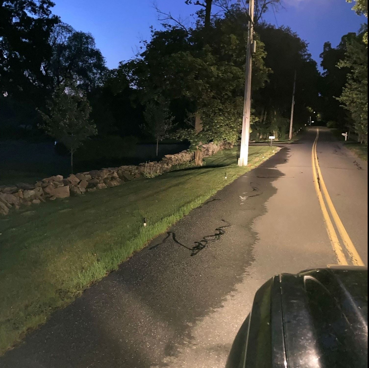 photo of wet pavement indicating irrigation