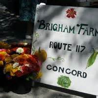 Brigham Farm Route 17